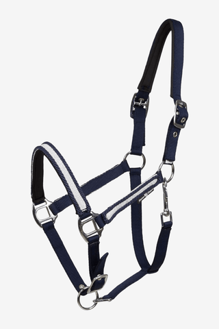 Horse Guard Grimma Ada