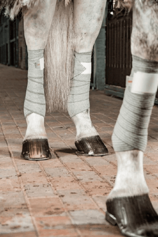 Incrediwear Equine Incrediwear Circulation Exercise Lindor