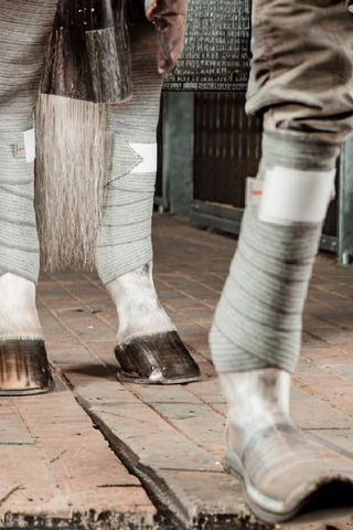 Incrediwear Equine Incrediwear Circulation Exercise Lindor