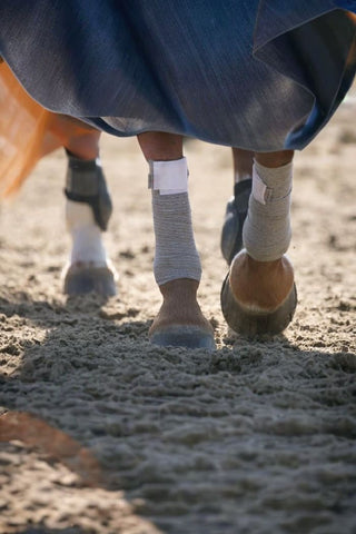 Incrediwear Equine Incrediwear Circulation Exercise Lindor