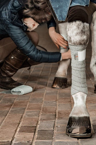 Incrediwear Equine Incrediwear Circulation Exercise Lindor