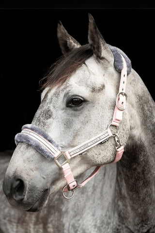 Grimma Med Päls Marin