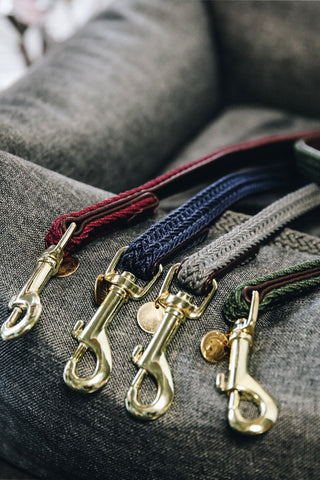 Braided Dog Leash