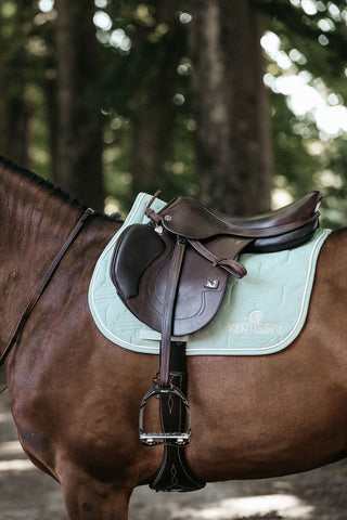 Color Edition Hoppschabrak