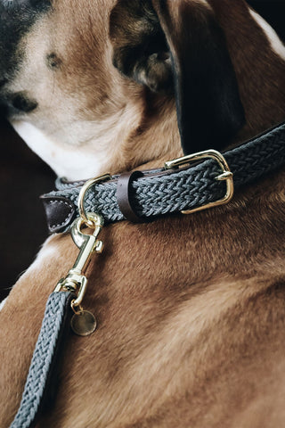 Geflochtenes Nylon-Halsband