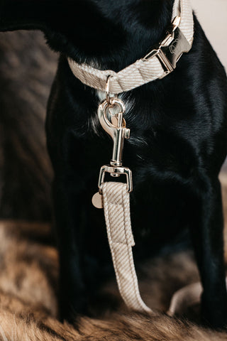 Wollen Hondenhalsband