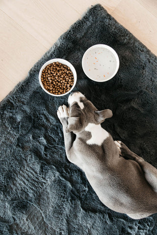 Bambus Terazzo Hundeskål