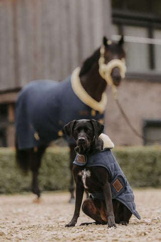 Original Hundtäcke 160g