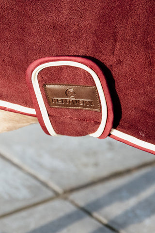 Couverture pour chien en polaire épaisse