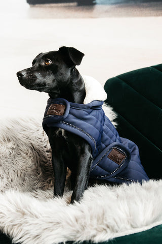 Koc dla psa Pearls 160g