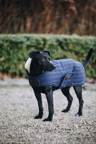 Koc dla psa Pearls 160g