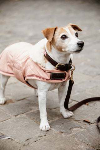 Waterdichte hondenjas