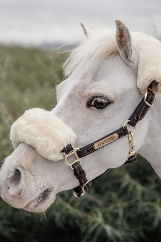 Lädergrimma Fårskinn Brun