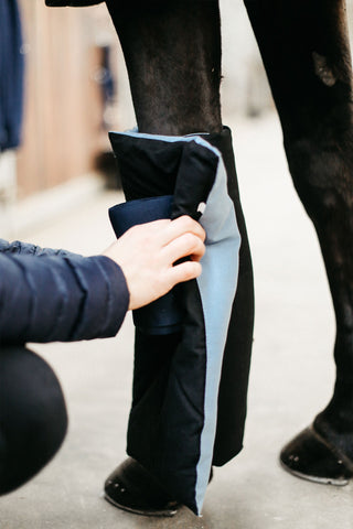 Magnetische Pads Recuptex Zwart