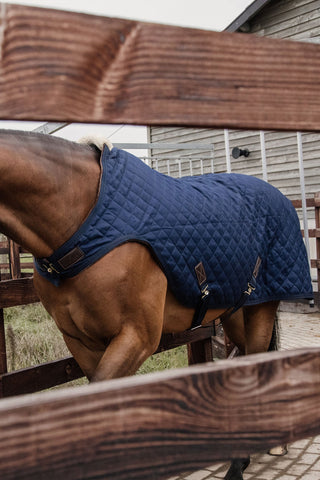 Walker Rug 160g Navy