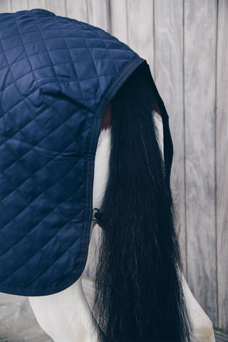 Walker Rug 160g Navy