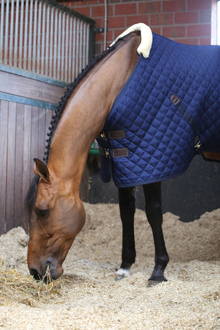 Stable Rug 200g Navy