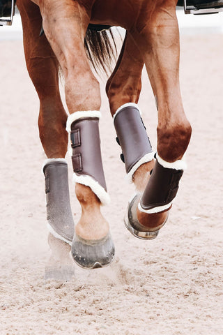 Turnout Gamaschen Leder Hinterbeine Schwarz