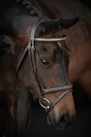 Hoofdstel Preston Fancy Chocolate