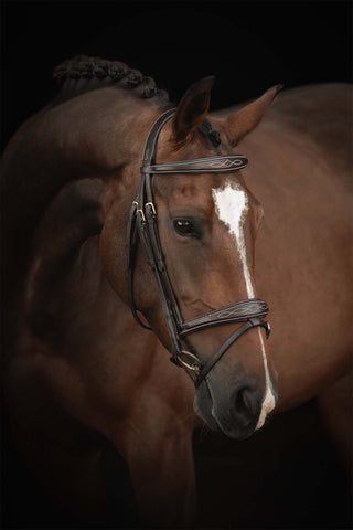 Supreme Fancy trense