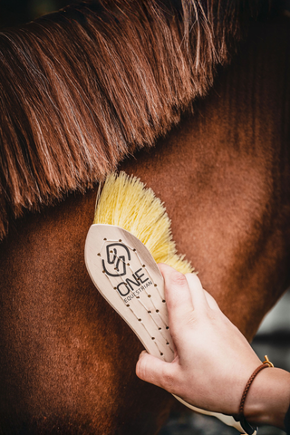 One Borste Soft