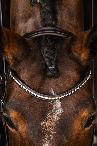 Schockemöhle Brantford Träns