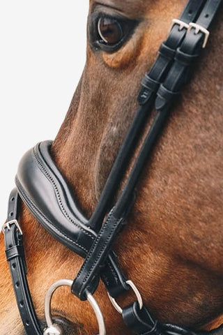 Schockemöhle Malibu Träns