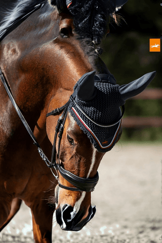 Schockemöhle Träns Stanford