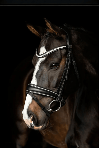 SD Design Celebrity Träns Crystal