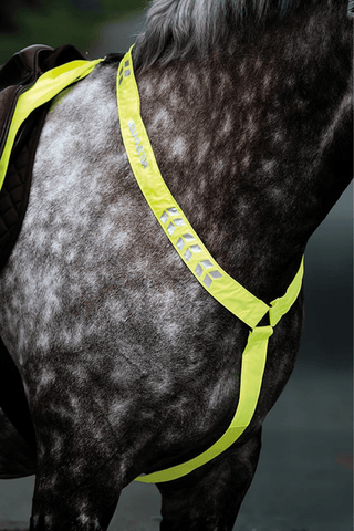 Shires Equi-Flector Förbygel Reflex