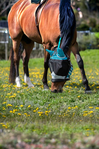 Shires Flughuva med Öron