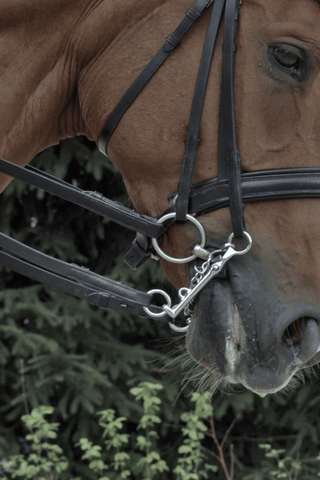 Novocontact Wędzidło bridoon 2-częściowe