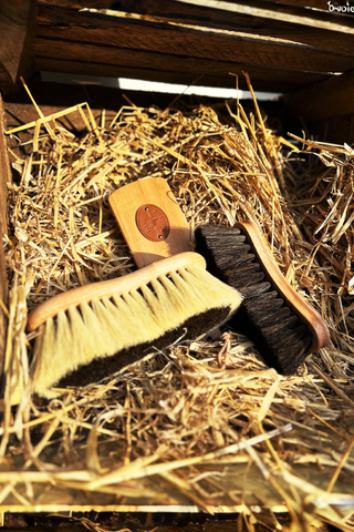 Svensk Ridsport Sarahs Tips 2